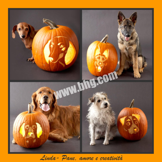 Stencil di cani per halloween