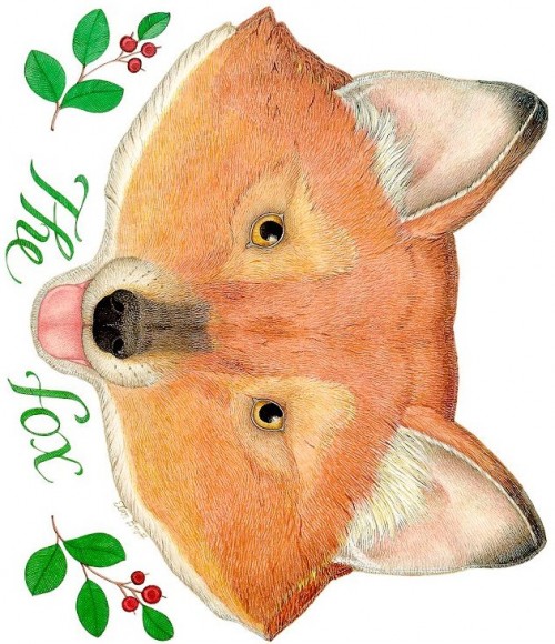 Maschere da colorare, disegno di una volpe, travestimento per bambini