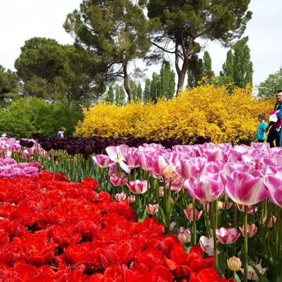 Parco Sigurtà (Verona)