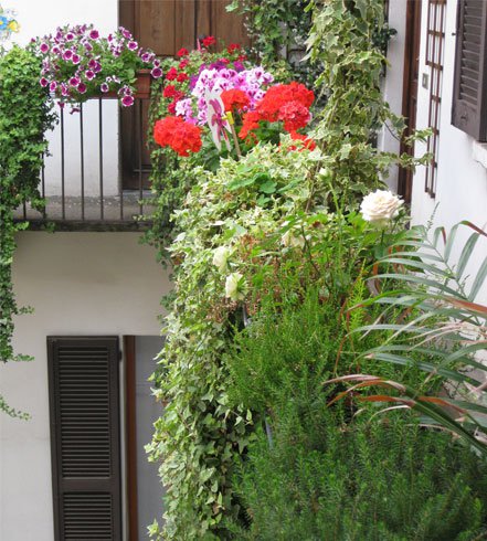 Giardini e terrazzi: l'angolo verde di Donatella