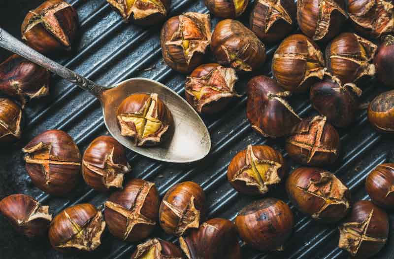 100 ricette con le castagne