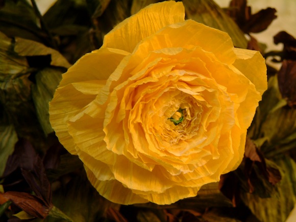 fiore di filo finlandese
