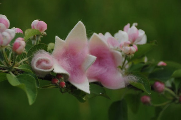 fiori in feltro.jpg