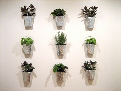kitchen garden wall.jpg