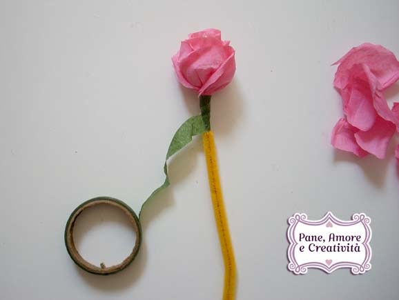 gambo-rosa-1.jpg