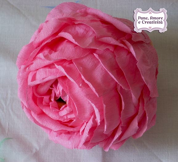 rosa---uovo-1.jpg
