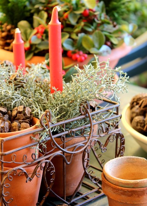 La corona dell’avvento con candele e rami di cipresso