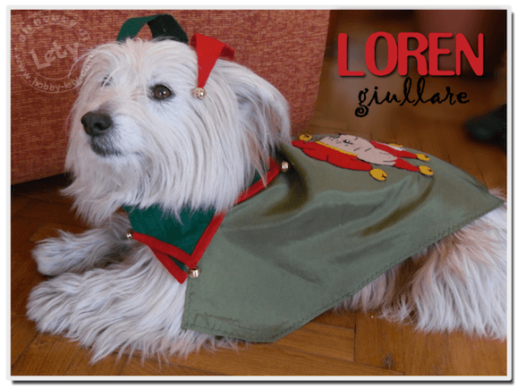 Idee di carnevale: il costume da jolly per il cagnolino