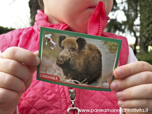 figurine panini2