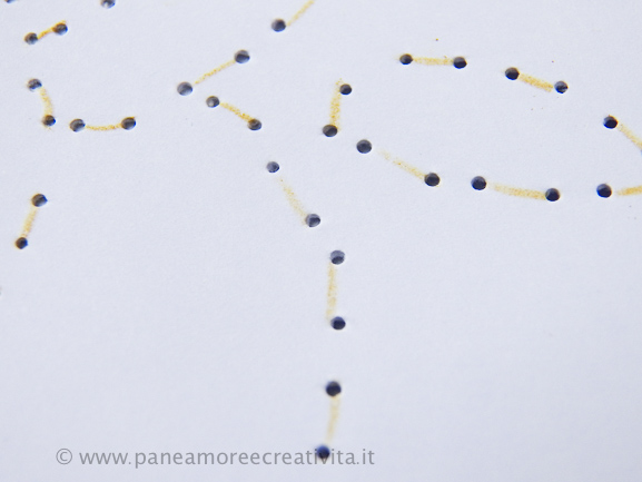 fori per ricamo zucca