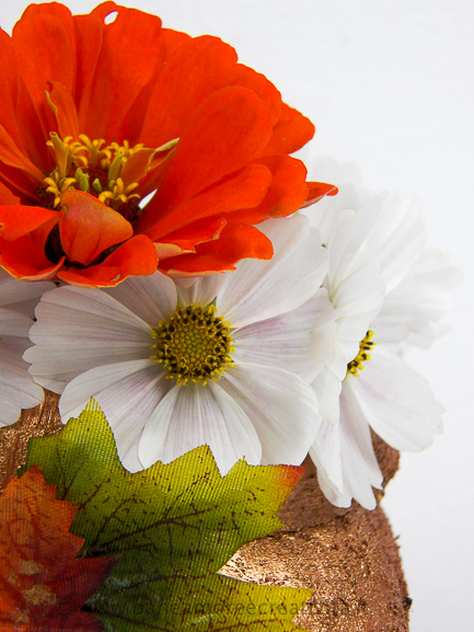 fiori nella zucca portavaso