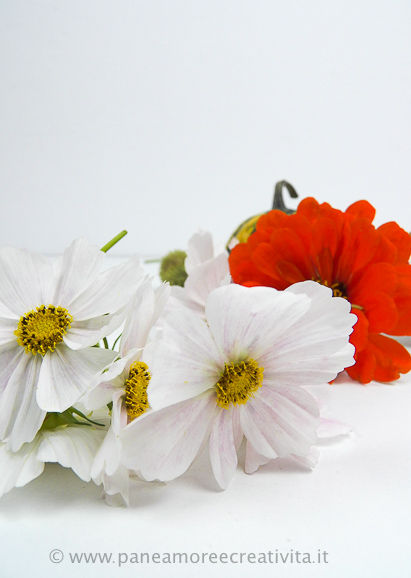 fiori 
