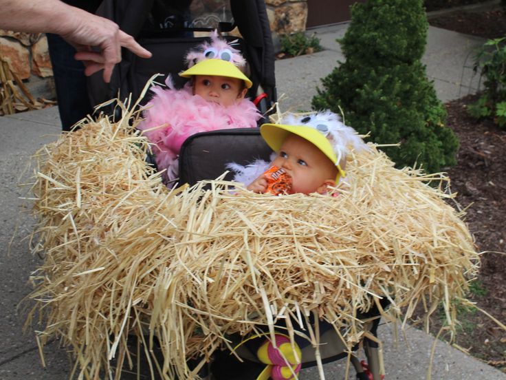 costume da pulcino