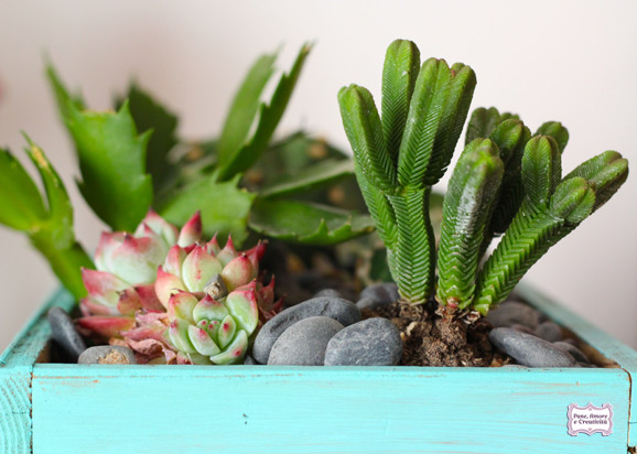 succulent-garden-2