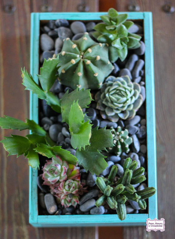 cachepot diy - succulents
