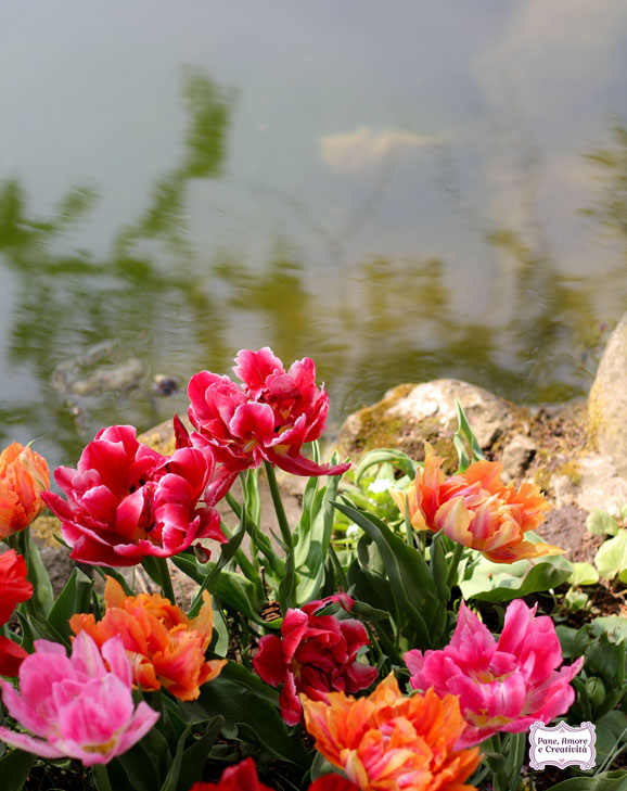 tulipani_e_laghetto_parco_sigurta