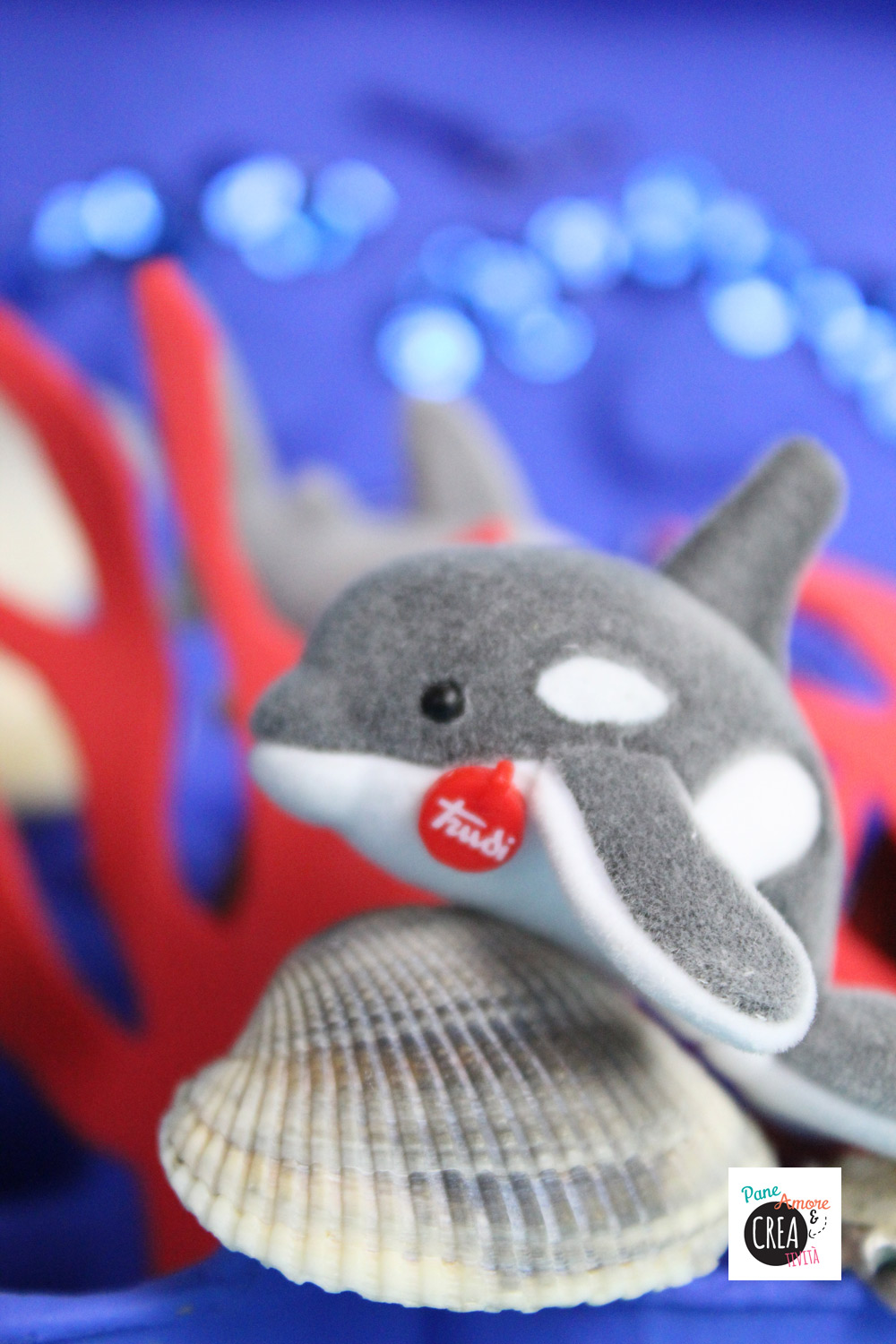 coccoli-trudi-orca