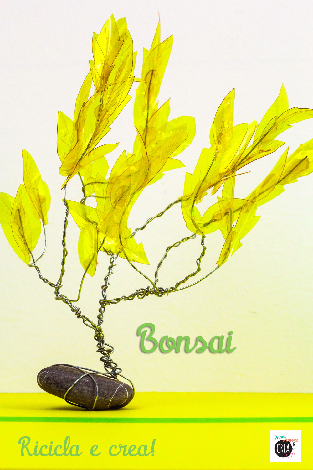 bonsai---riciclare-le-bottiglie