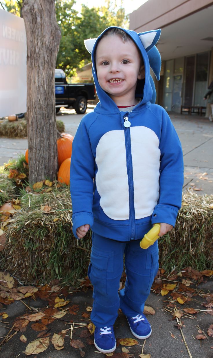 costume da sonic