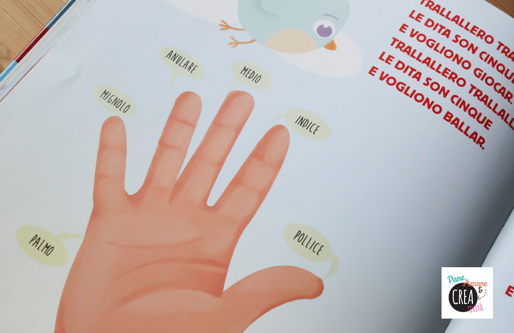 il-corpo-umano---libri-illustrati-4