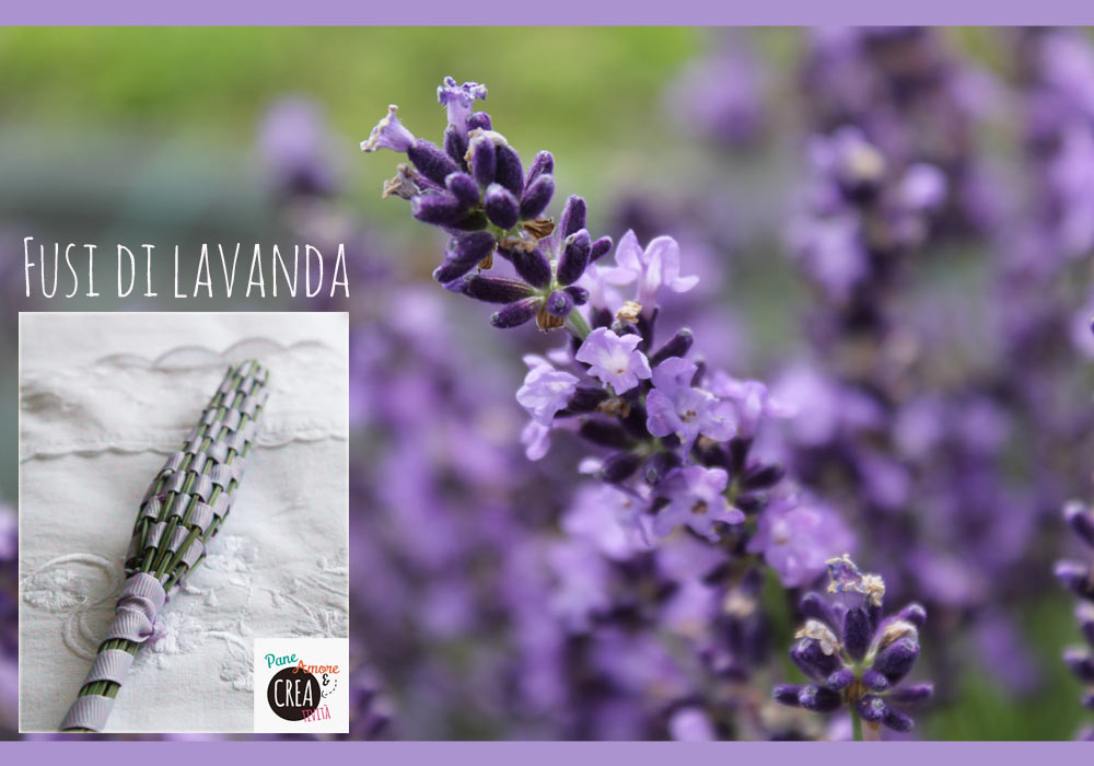 fusi-di-lavanda-tutorial