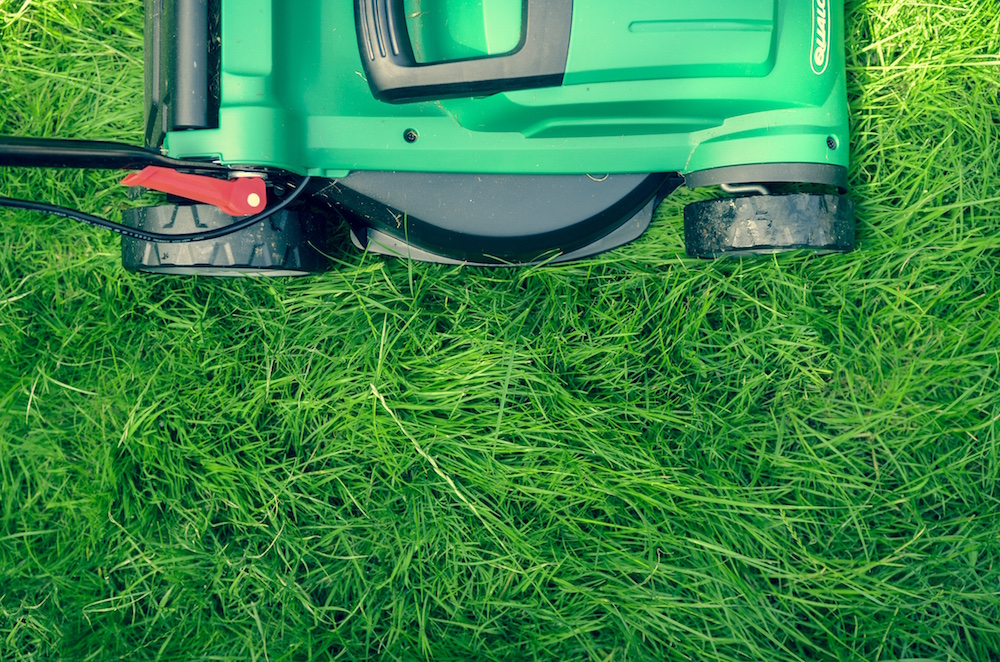 Tagliare il prato: qualche suggerimento utile per avere un giardino curato!