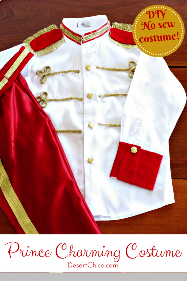 costume disney principe