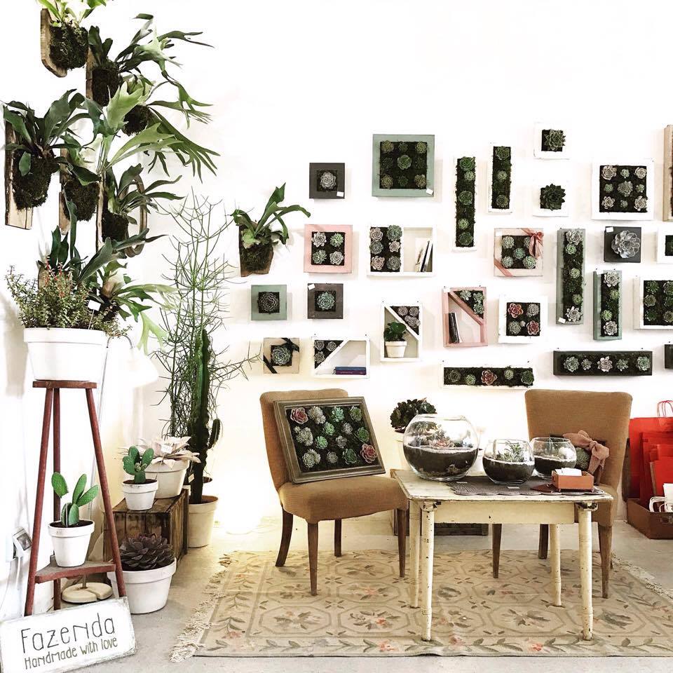 fazenda - arredo green con piante