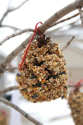 Lavoretti per bambini: cibo per gli uccelli fai da te