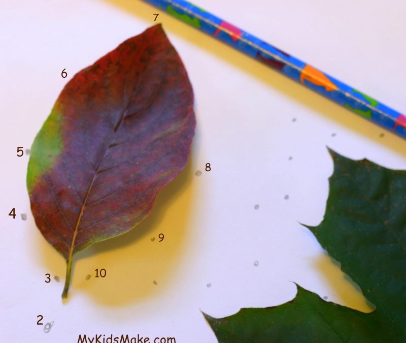 Lavoretti con i bambini: giochi con le foglie