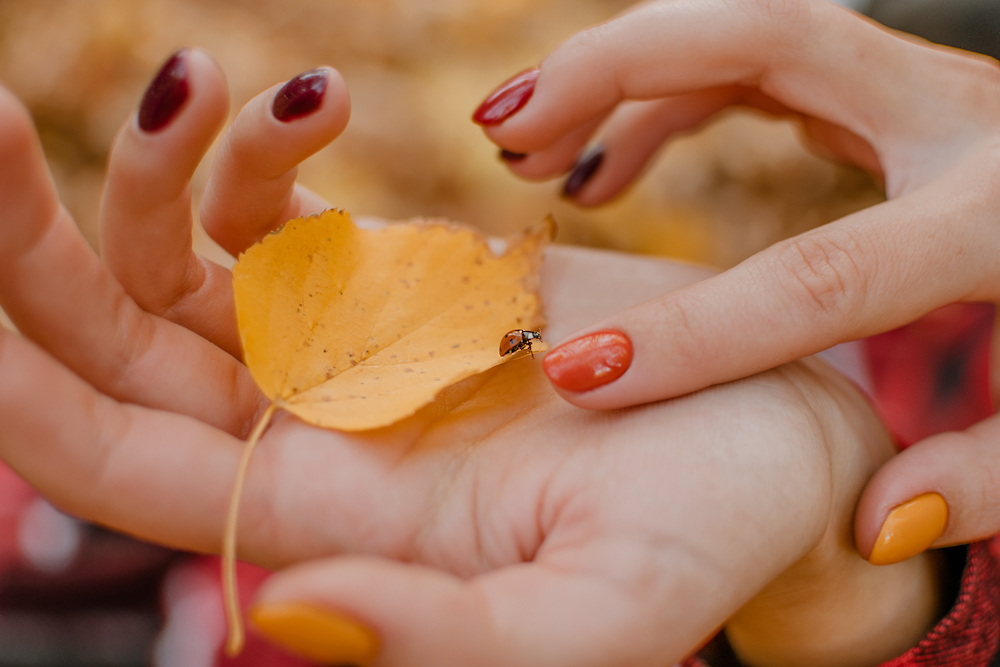 Smalti autunno 2022: i colori di tendenza su cui puntare
