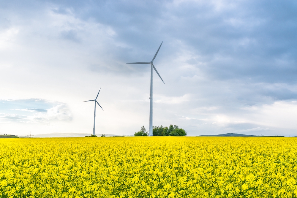 Scegliere l’energia green per un futuro sostenibile