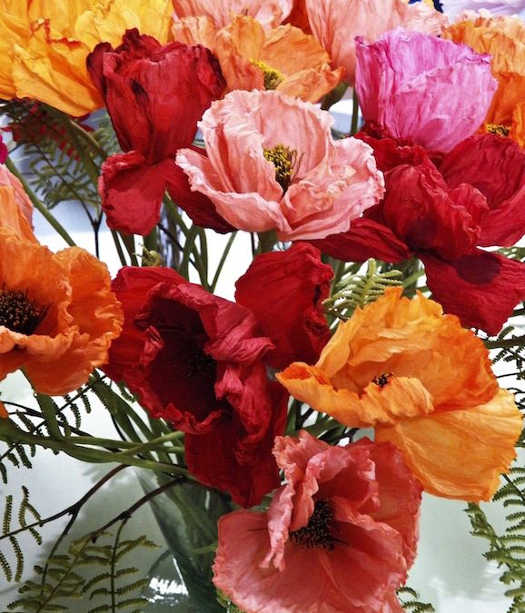 I fiori di carta di Rosanna de La quinta stagione