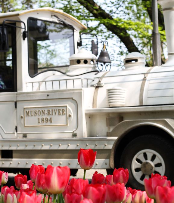 Cose belle da vedere: la fioritura di tulipani al Parco Sigurtà